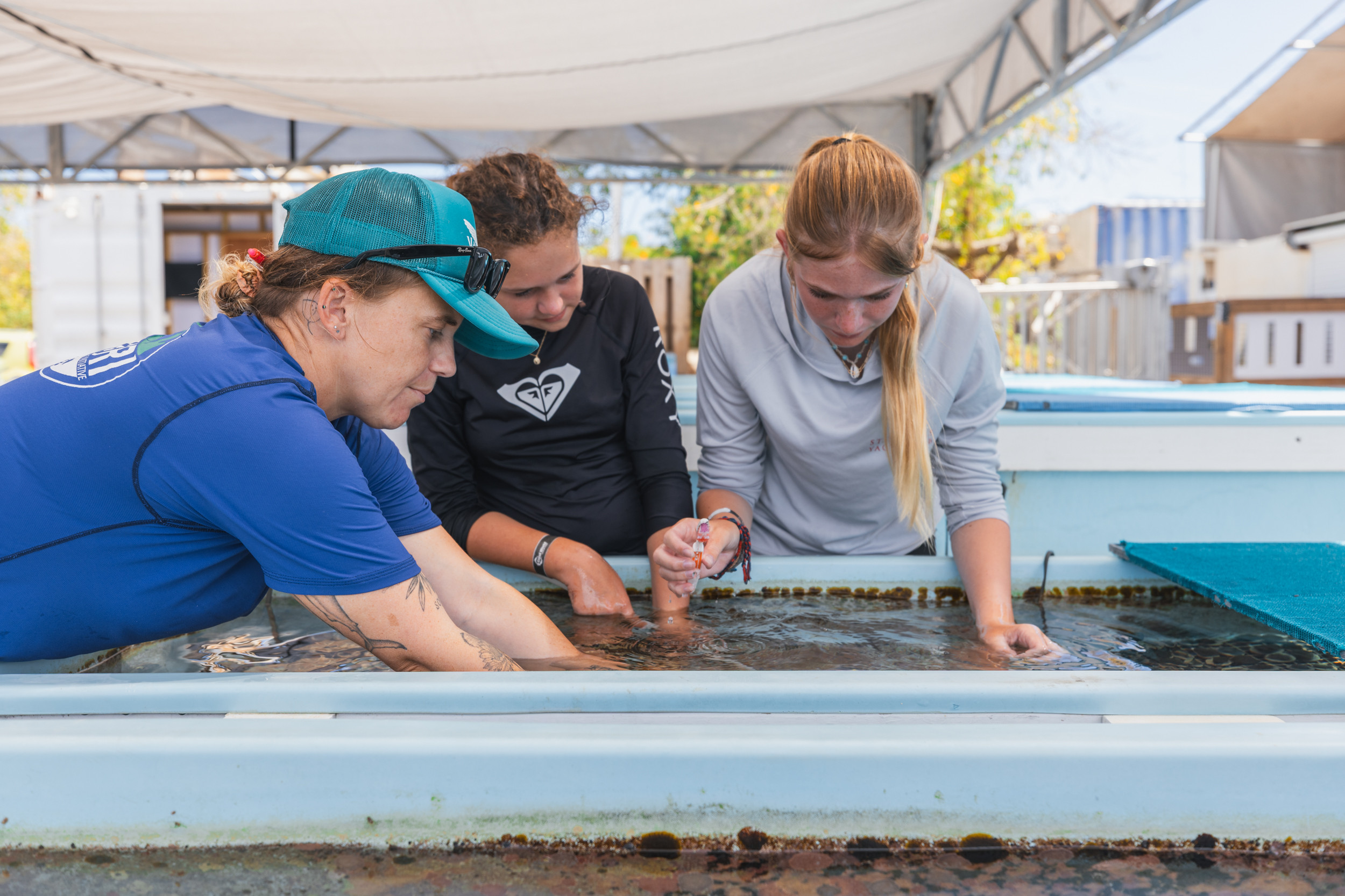 CWORI’s Education and Outreach Coordinator, Kelsey Worth teaches YOE students how to clean a coral tank. Photo: Dan Mele