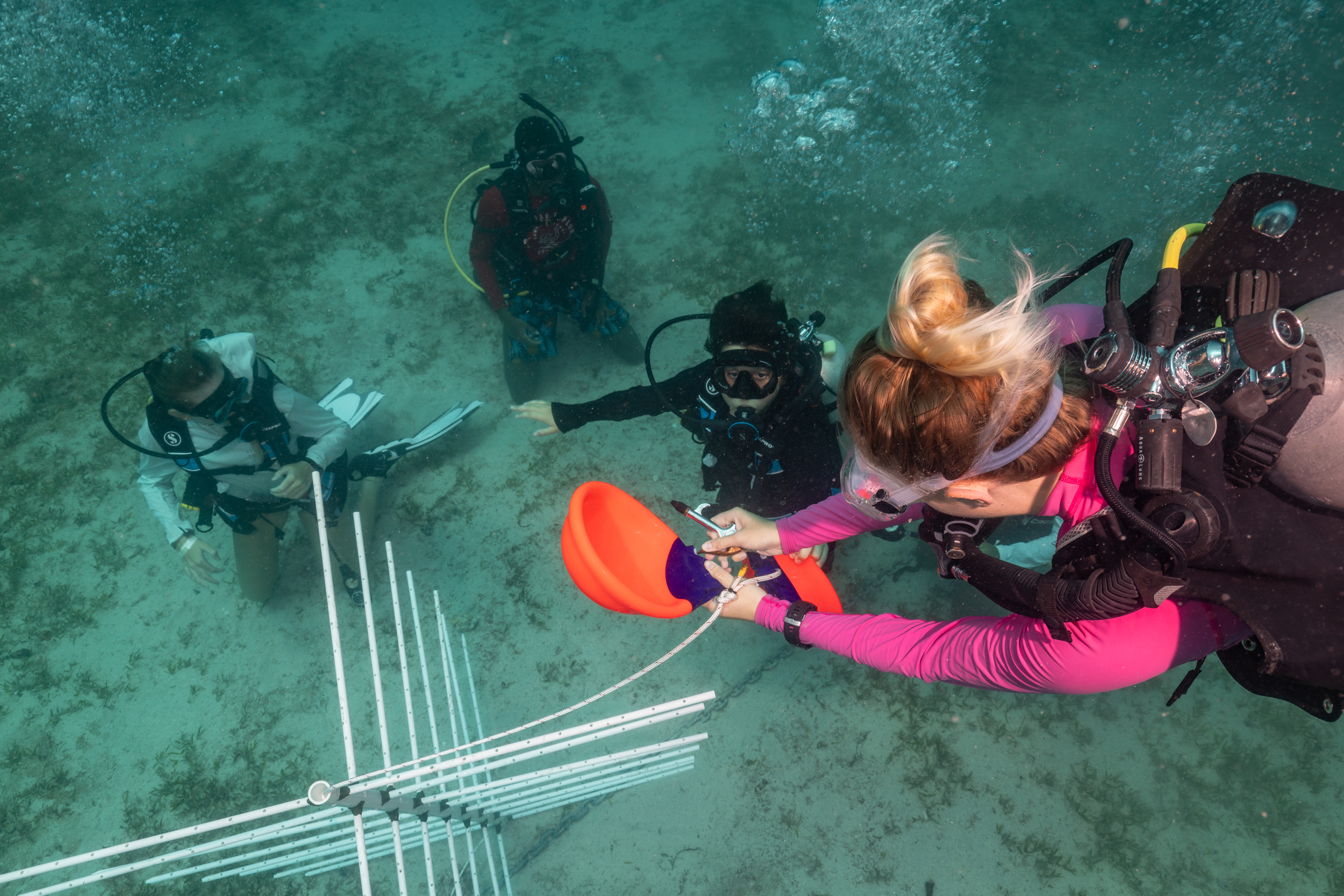 CWORI Conservation Manager, Sabrina Severin demonstrates the final touches of installing a coral tree. Photo: Dan Mele