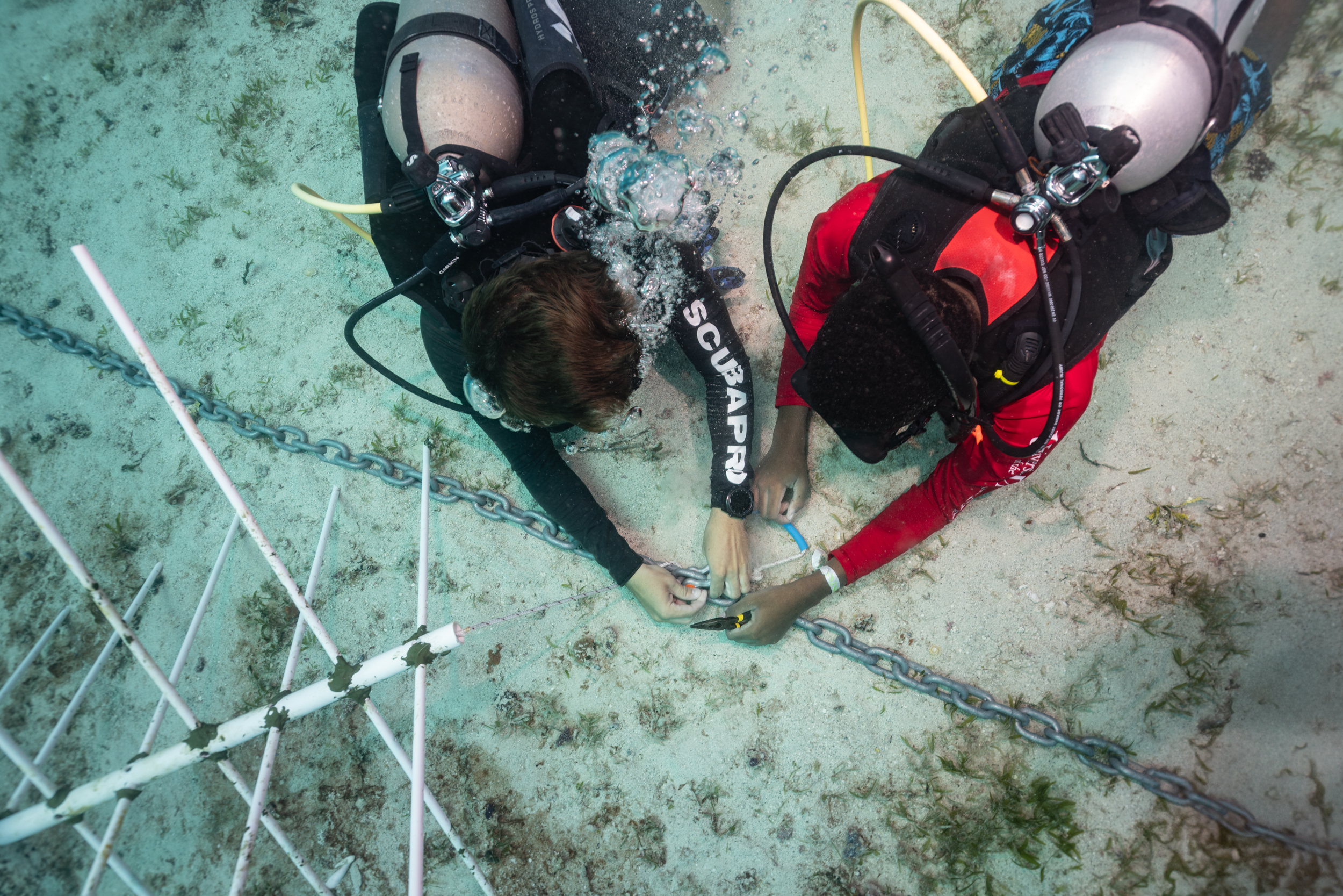 CWORI Project Manager, Andrew McGregor teach YOE participants how to install a coral tree in their nursery. Photo: Dan Mele