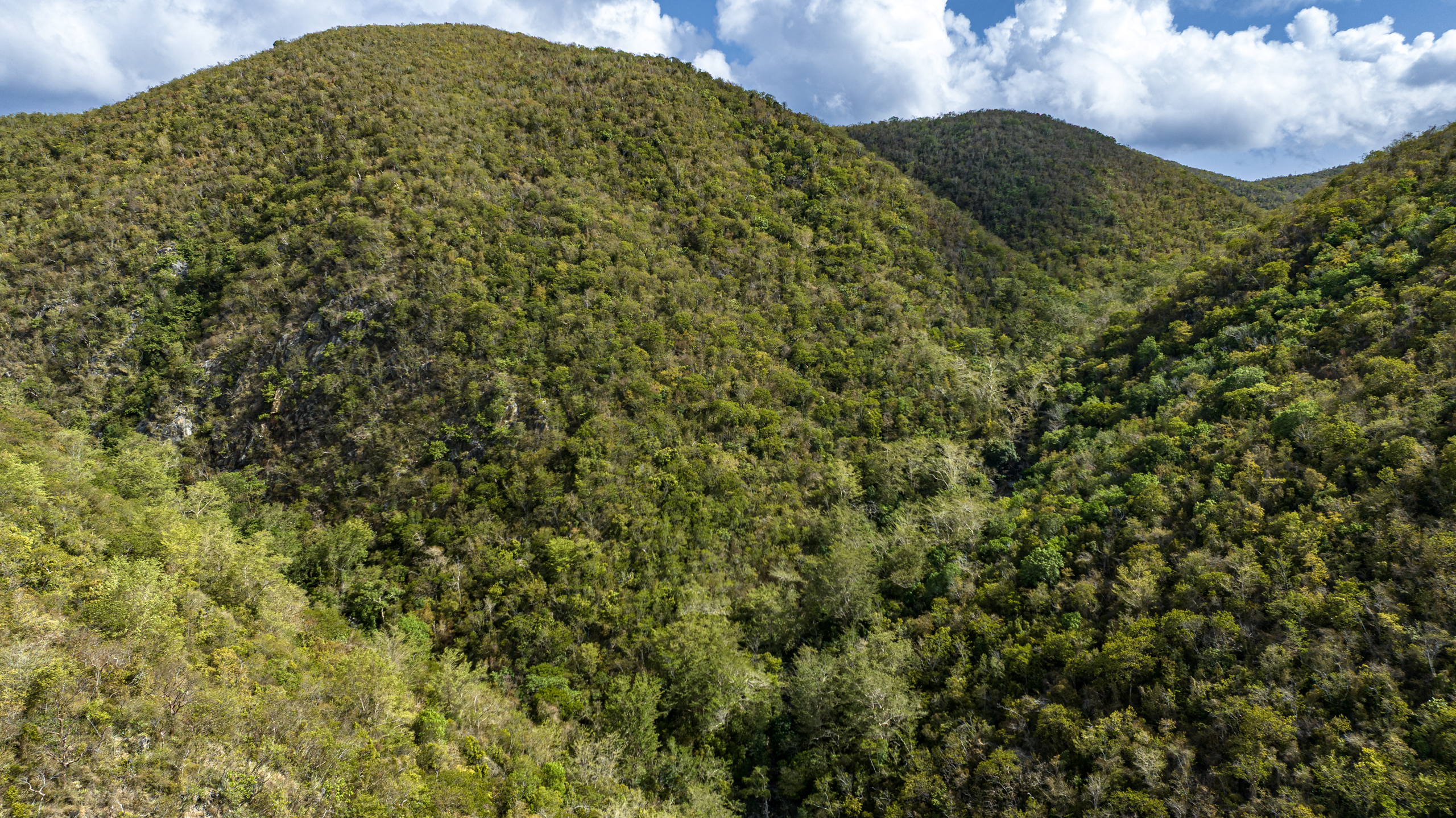 During rainstorms, water flows into guts, carving natural channels between hillsides.
