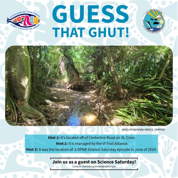 652310006_1249981750603857_7335637398357577228_n